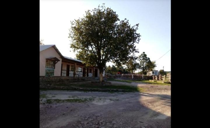 מלון Areponapuchi Cabanas De Lolita En Barrancas Del Cobre מראה חיצוני תמונה